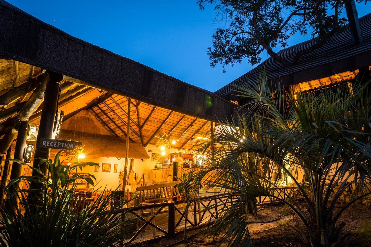 Pezulu Tree House Lodge Hoedspruit Εξωτερικό φωτογραφία
