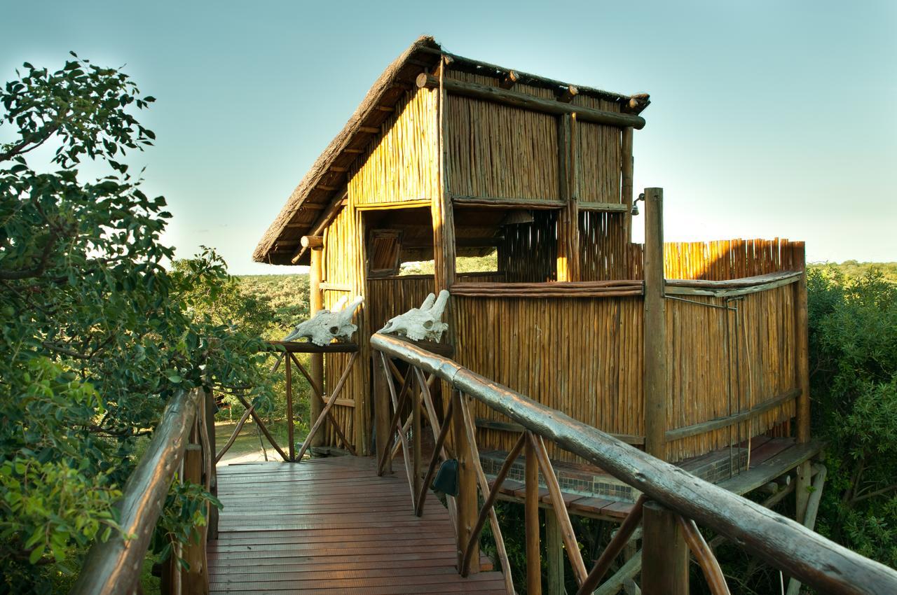 Pezulu Tree House Lodge Hoedspruit Εξωτερικό φωτογραφία