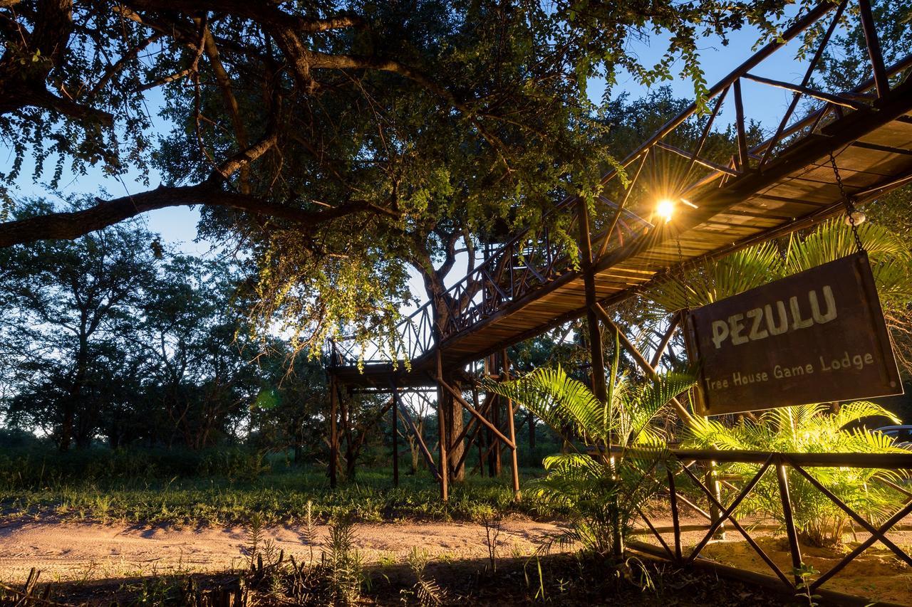 Pezulu Tree House Lodge Hoedspruit Εξωτερικό φωτογραφία