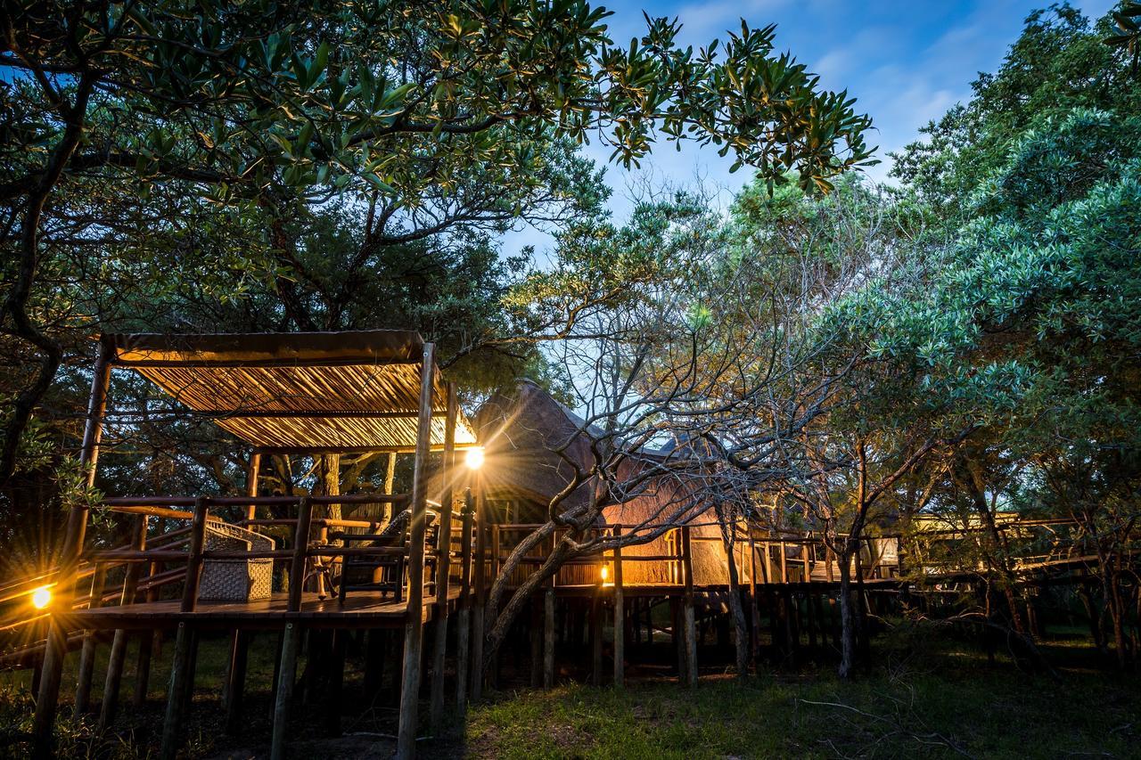 Pezulu Tree House Lodge Hoedspruit Εξωτερικό φωτογραφία