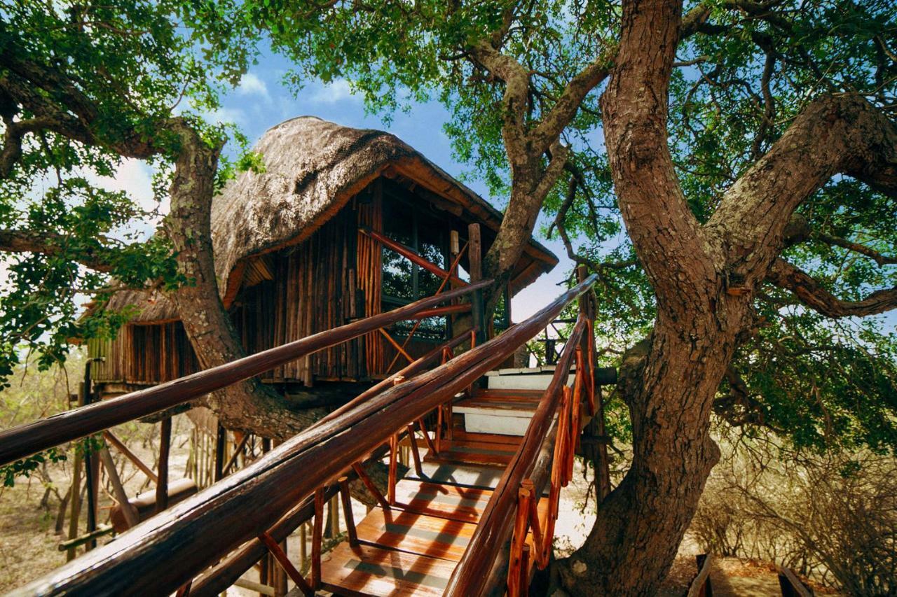 Pezulu Tree House Lodge Hoedspruit Εξωτερικό φωτογραφία
