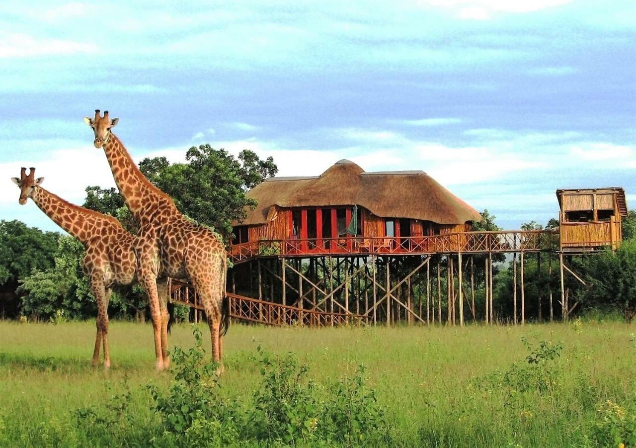 Pezulu Tree House Lodge Hoedspruit Εξωτερικό φωτογραφία