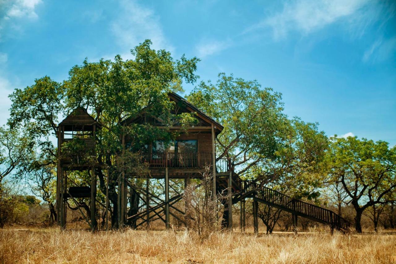 Pezulu Tree House Lodge Hoedspruit Εξωτερικό φωτογραφία