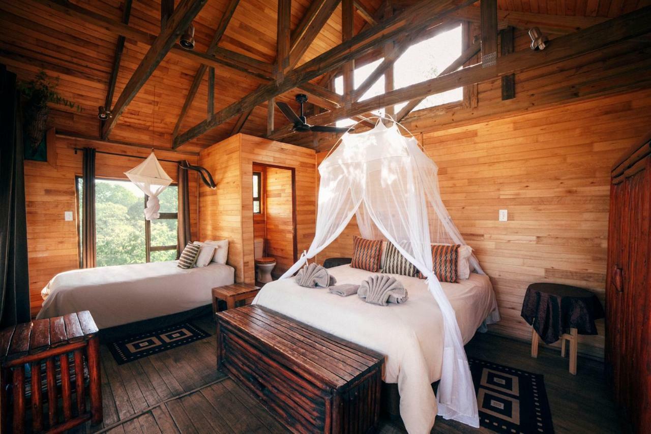 Pezulu Tree House Lodge Hoedspruit Εξωτερικό φωτογραφία