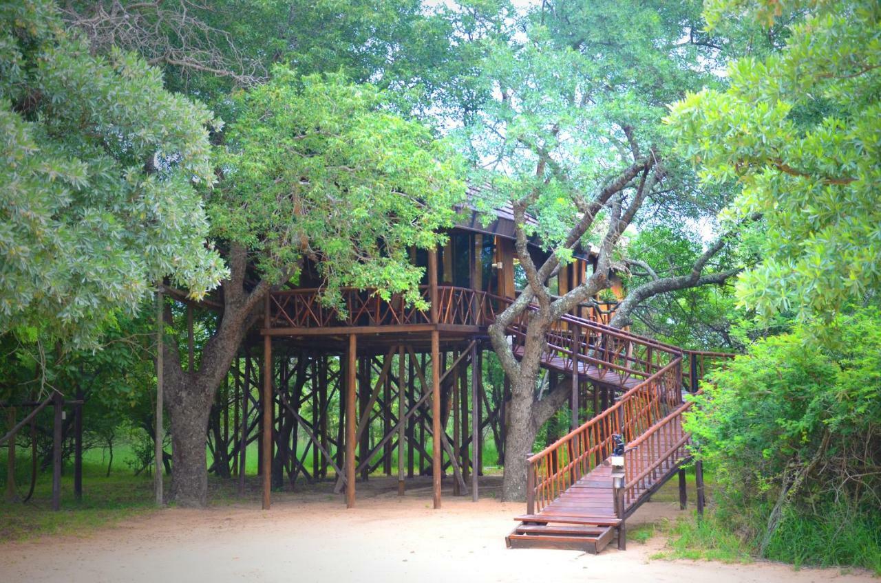 Pezulu Tree House Lodge Hoedspruit Εξωτερικό φωτογραφία