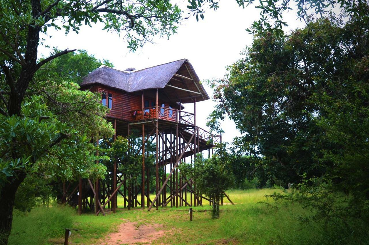 Pezulu Tree House Lodge Hoedspruit Εξωτερικό φωτογραφία