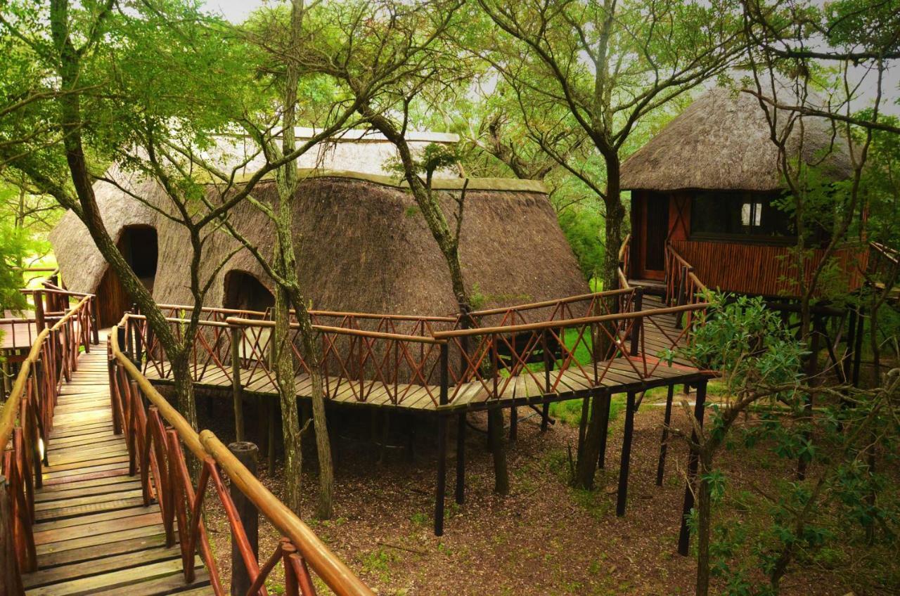 Pezulu Tree House Lodge Hoedspruit Εξωτερικό φωτογραφία
