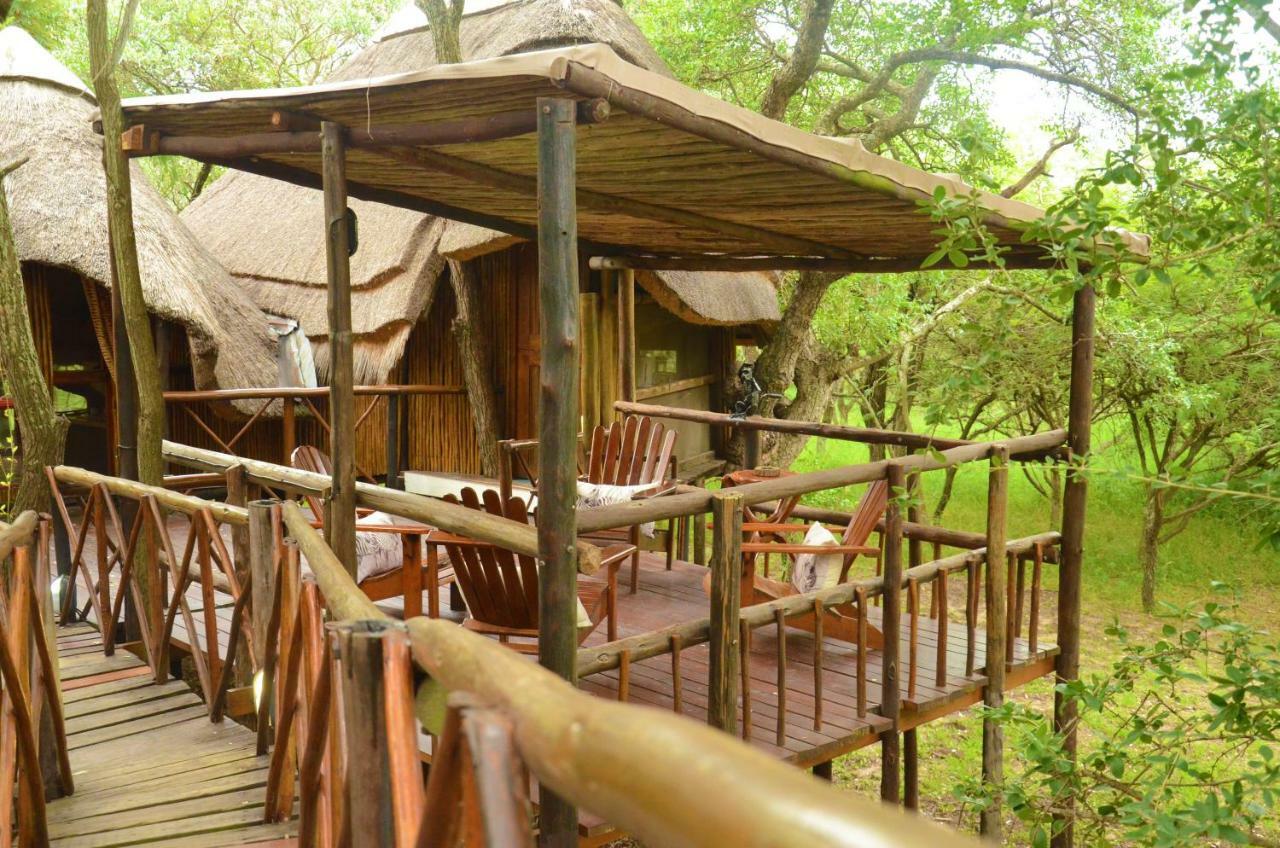 Pezulu Tree House Lodge Hoedspruit Εξωτερικό φωτογραφία