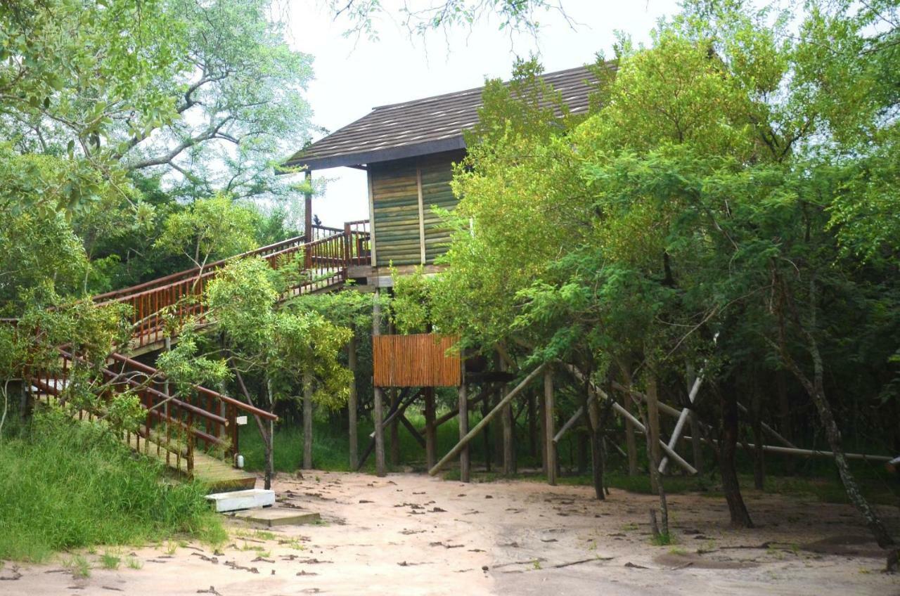 Pezulu Tree House Lodge Hoedspruit Εξωτερικό φωτογραφία