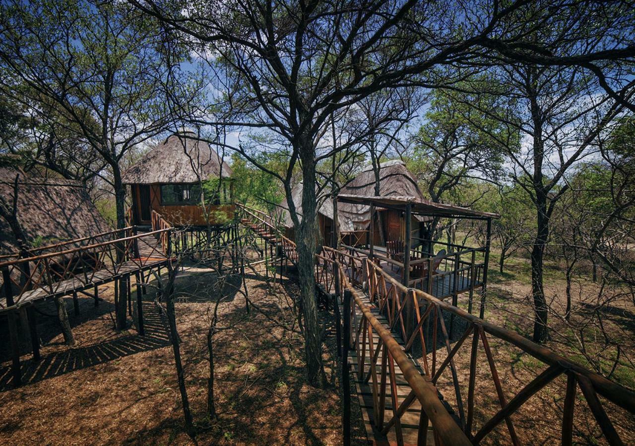 Pezulu Tree House Lodge Hoedspruit Εξωτερικό φωτογραφία